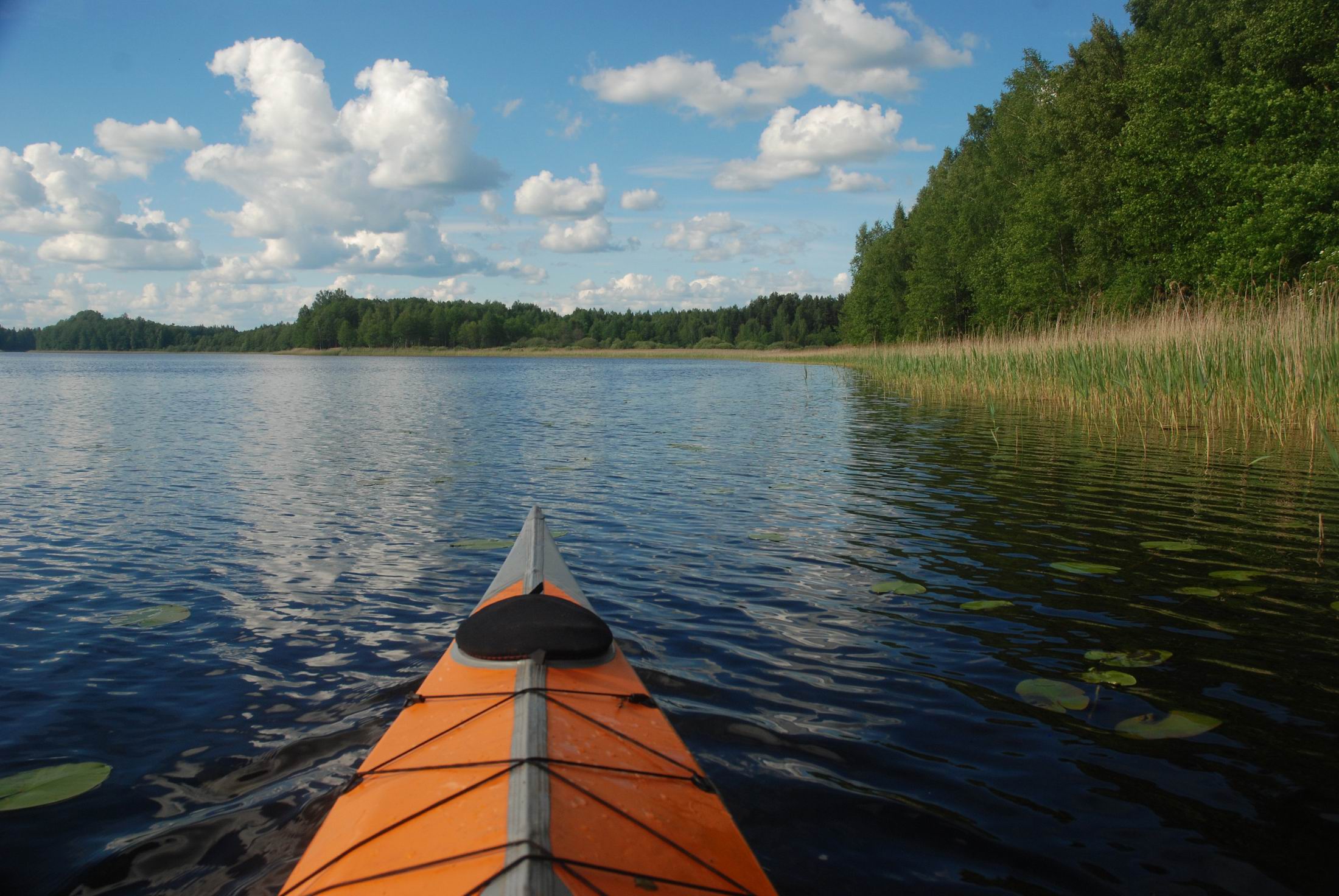 Походы_kir2003 | Водный поход Россонка – Нещерда – Черепетица – Нища,  14–17.06.22